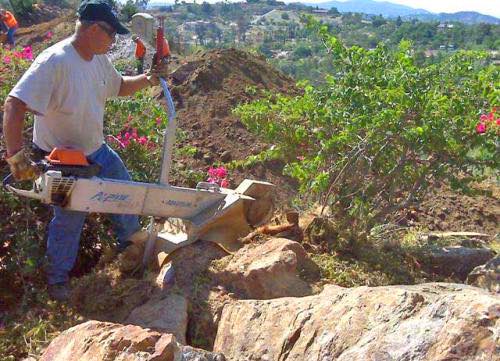 Stump grinding